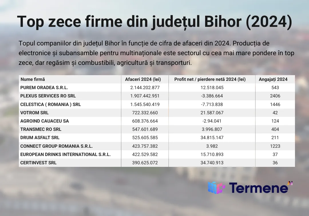 Tabelul prezintă top 10 firme din județul Bihor în 2024, cu date despre cifră de afaceri, profit și număr de angajați. Cine face business acasă la Ilie Bolojan