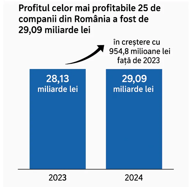 profitul total al celor mai profitabile companii din 2024