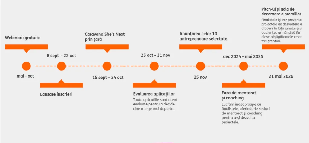 programul she s next granturi