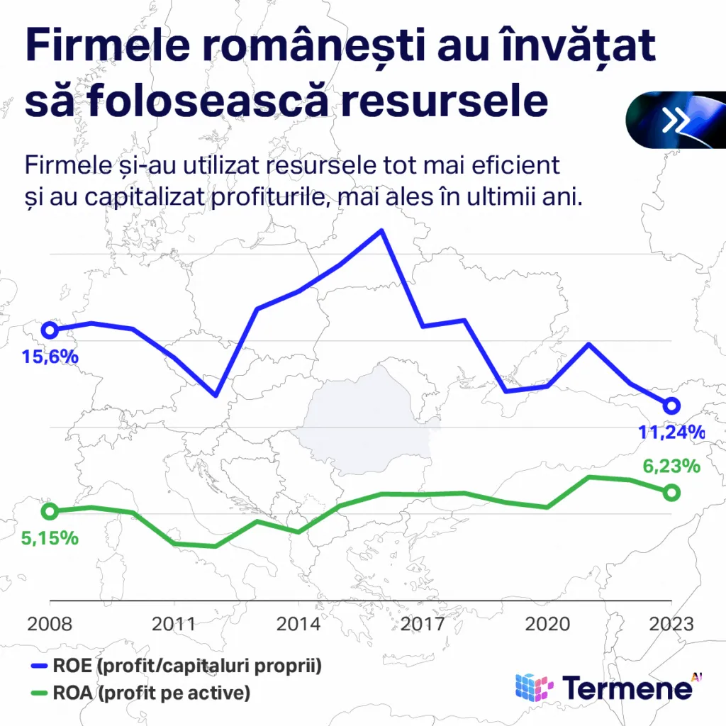 Infografic realizat de Termene care demonstrează că firmele și-au utilizat resursele tot ai eficient și au captalizat profiturile