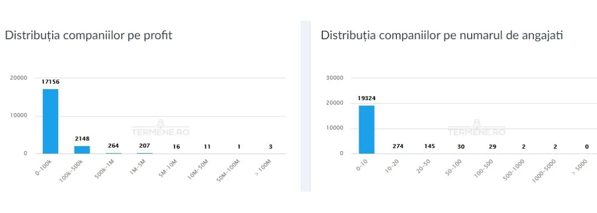 CAEN 7022- Distribuția companiilor pe profit și număr de angajați