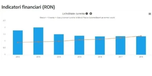 Indicatori financiari termene