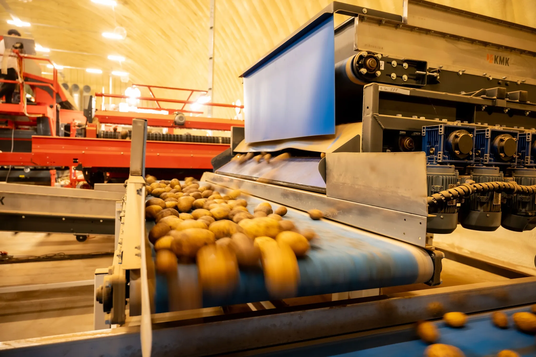 cartofi sursa: Grup Serban Holding/Facebook