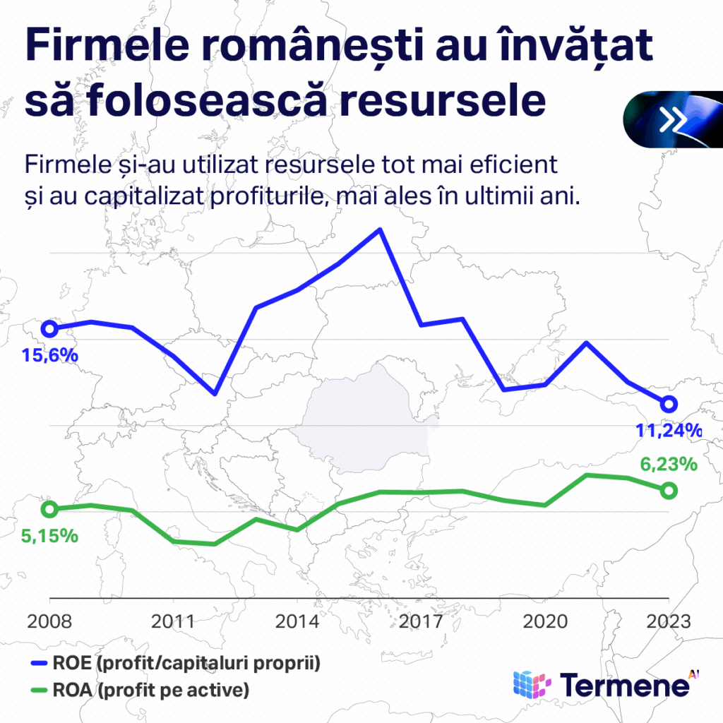 Infografic realizat de Termene care demonstrează că firmele și-au utilizat resursele tot ai eficient și au captalizat profiturile