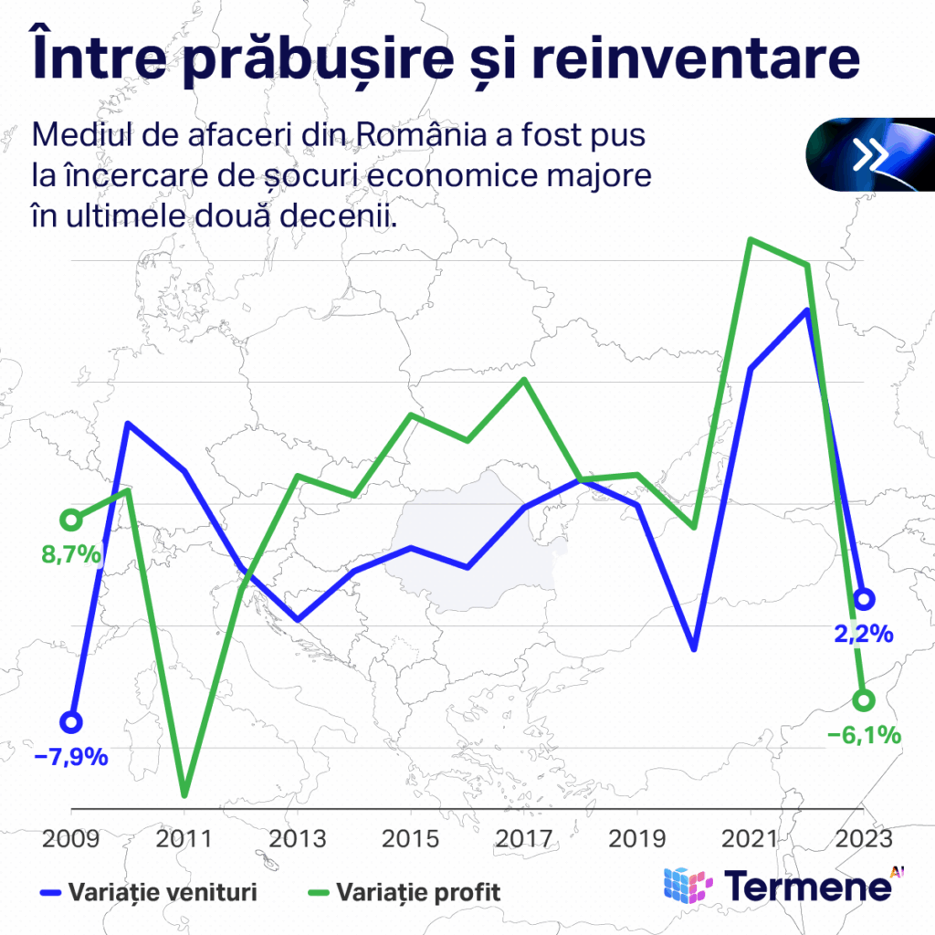evolutie anuala profit si venituri, sursa: Termene AI