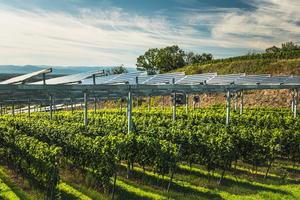 Panouri solare cu finanțare 100% nerambursabilă pentru fermieri și procesatori. 200 de milioane de euro, în pregătire la AFIR
