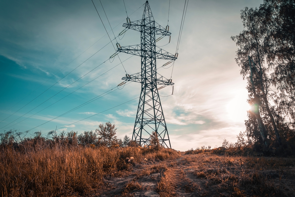 Rețele Electrice România a investit 1,4 miliarde de lei în modernizarea rețelei în 2025 | Economica.net