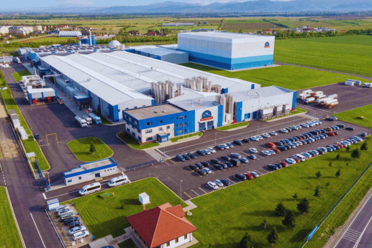 De ce contează | Grecii de la Olympus investesc încă 7,5 mil. euro în producția de lactate la Brașov. Topul producătorilor de lactate