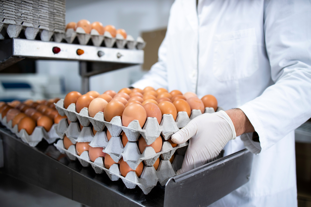România deschide piața chineză pentru produse agroalimentare: trei protocoale sanitare semnate pentru exporturi strategice | Economica.net