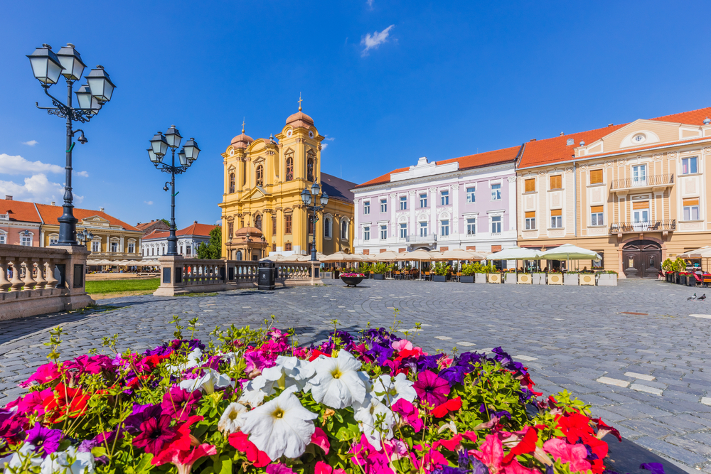 Timiș în date. Profiturile companiilor din județ au crescut cu aproape 380% în perioada 2008-2024. Timișul găzduiește cele ma