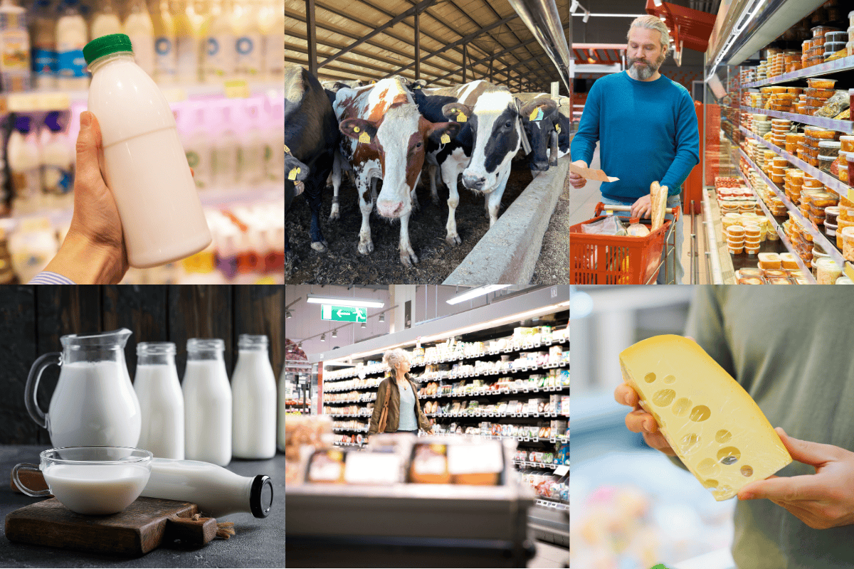 SIM, Lacto Prod și Monor, singurele companii românești din topul producătorilor de lactate. Profiturile au crescut, numărul d