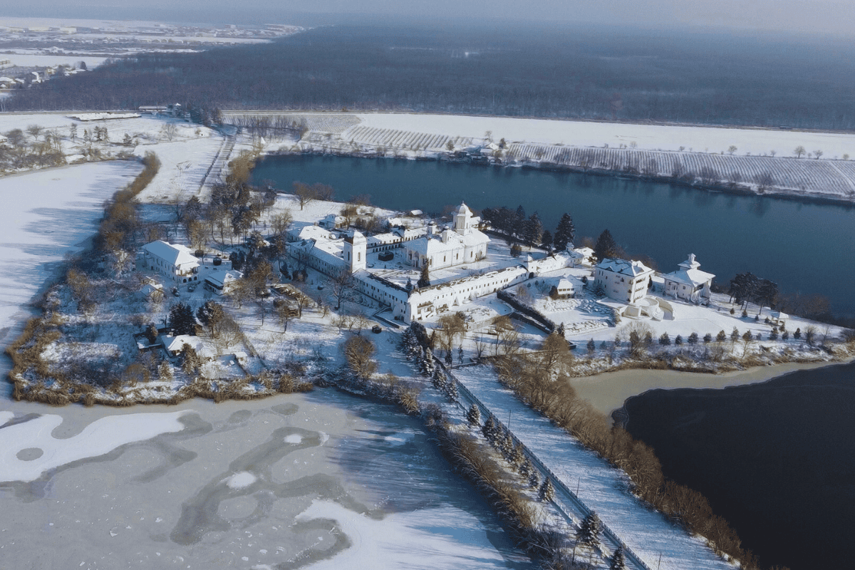 Ilfov în date. Profiturile au crescut cu aproape 590%, de două ori mai repede decât afacerile. Dr. Max, Penny și Altex sunt cele mai mari companii