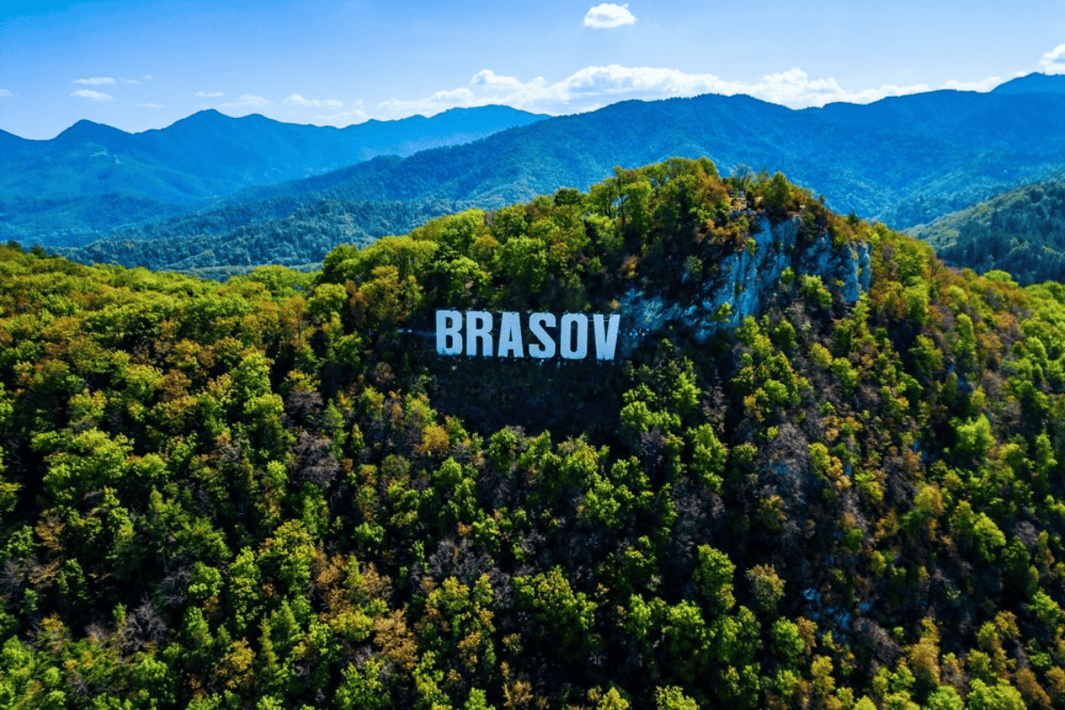 Profituri în Brașov: Autoliv, Bilka, Vitesco, Selgros, Urban Invest și Euro Strada sunt companiile cu cel mai mare profit net din județ