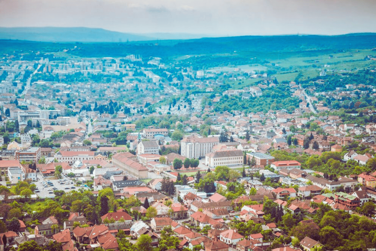 Profituri în Hunedoara: Besser, Versuni, Parapharm, Bivaria și Steffany Serv sunt companiile cu cel mai mare profit net din județ