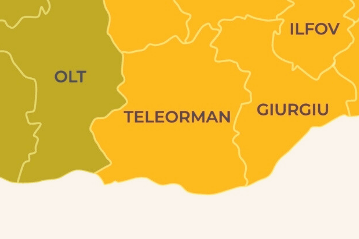 Teleorman în date. Toate companiile românești din top 10 sunt profitabile. Comerțul, agricultura și transporturile sunt cele mai populare activități. Analiză 2008-2024