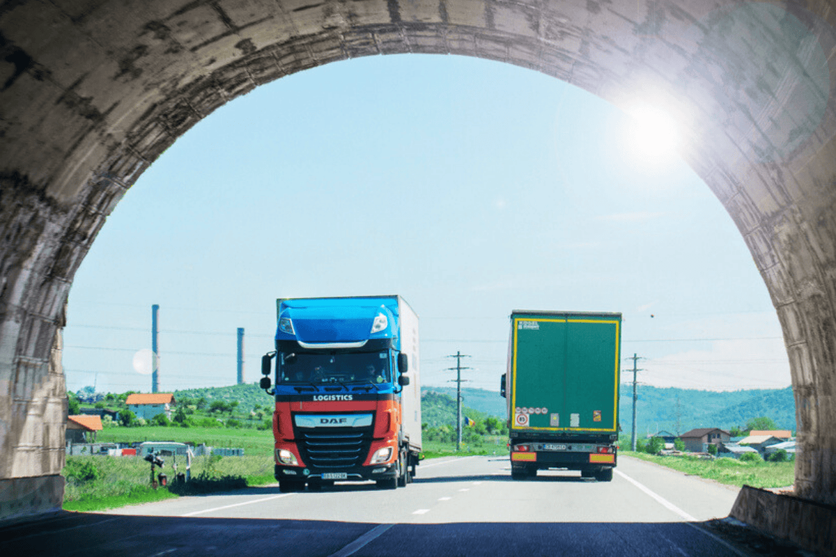 Profiturile din transporturile rutiere de mărfuri au crescut de 12 ori în perioada 2008-2024, în timp ce afacerile au crescut