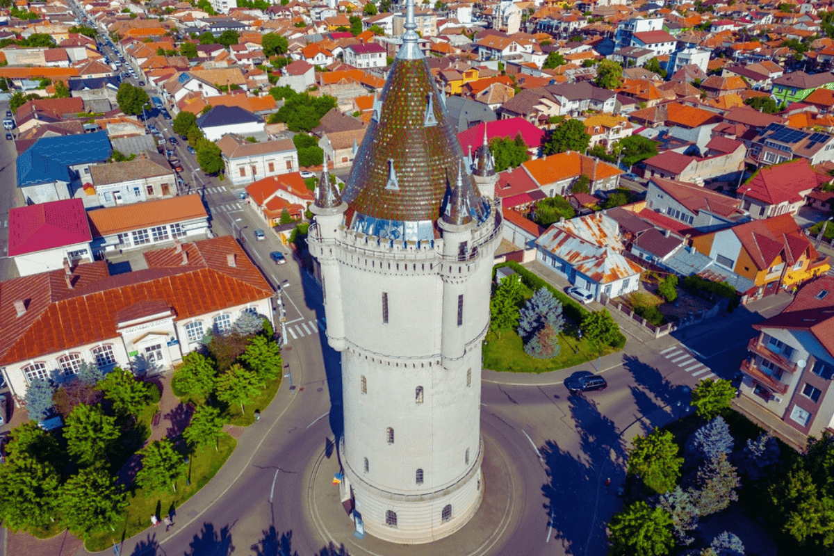 Mehedinți în date. Transporturile sunt cea mai populară activitate, dar topul firmelor este dominat de constructori. Analiză 2008-2024