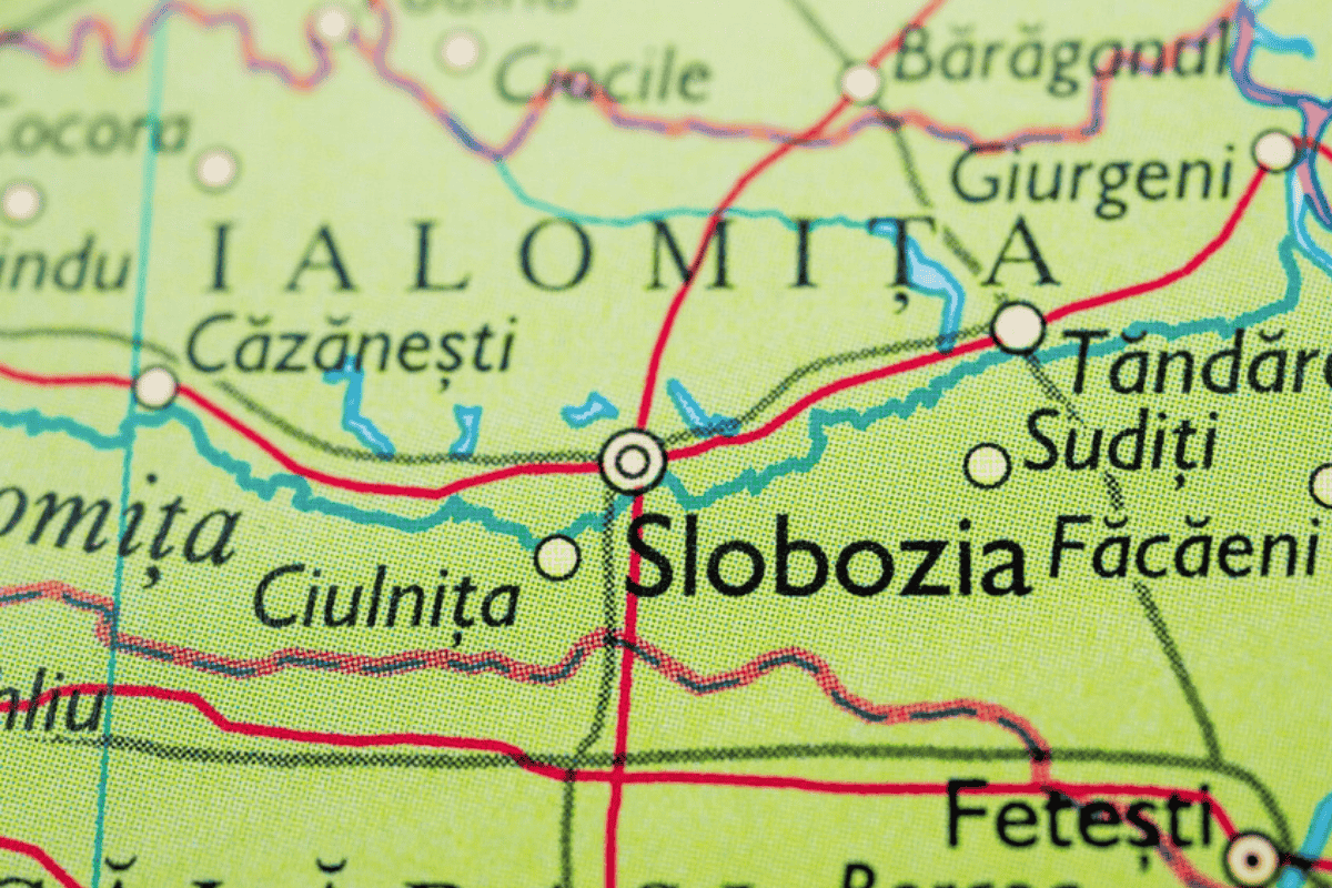 Ialomița în date. Profiturile companiilor din județ au crescut cu aproape 280% în perioada 2008-2024. Agricultura domină topul firmelor
