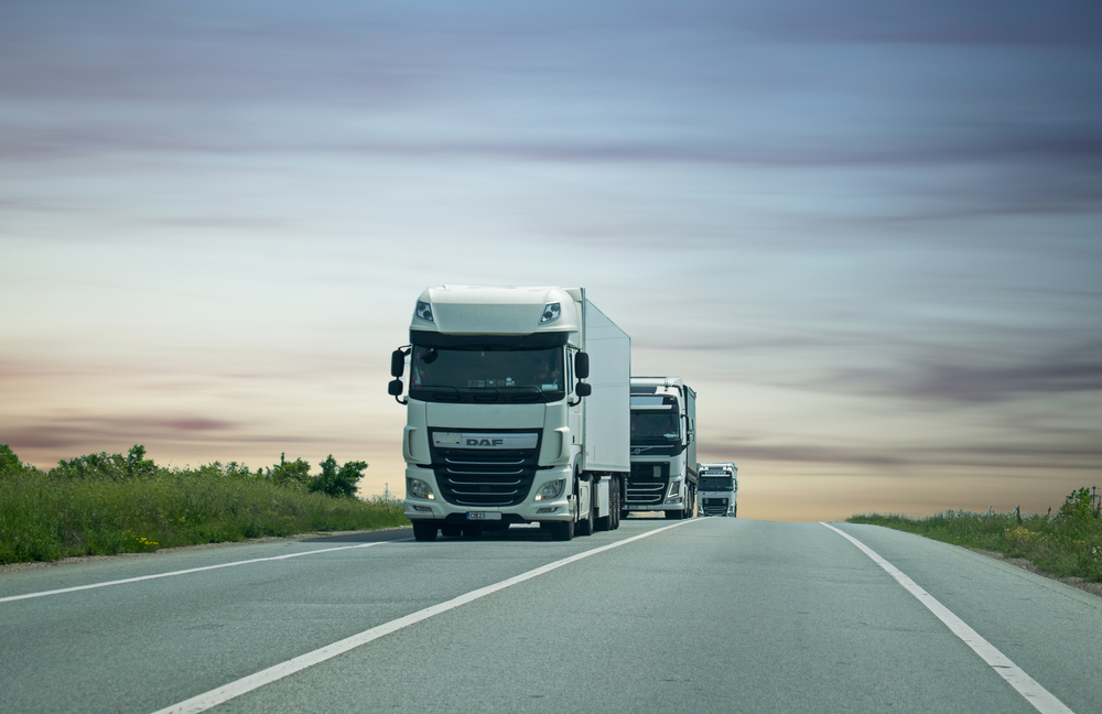 De ce contează | Austriecii de la Intercargo intră în acționariatul Eco Data Solution. Cum evoluează afacerile companiei