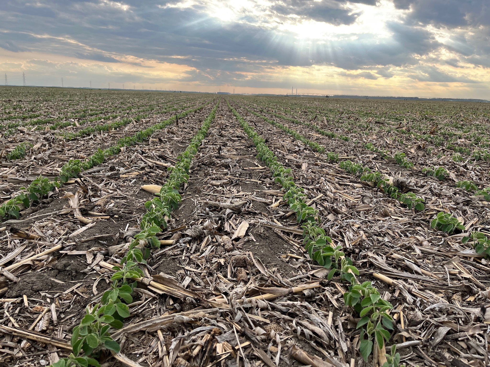 Fermierii, speriați de impozitele lui Bolojan și taxele lui Trump. Se așteaptă o explozie a prețurilor în 2026