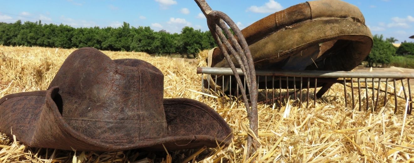 Fermierii pot accesa mai ușor credite punte în 2025. FNGCIMM garantează împrumuturile pe baza adeverințelor APIA