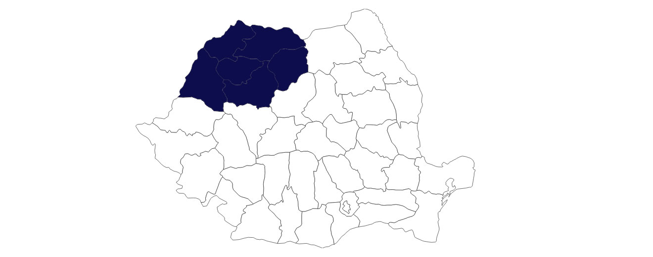 Regiunea Nord-Vest: Top firme înființate, insolvente, radiate