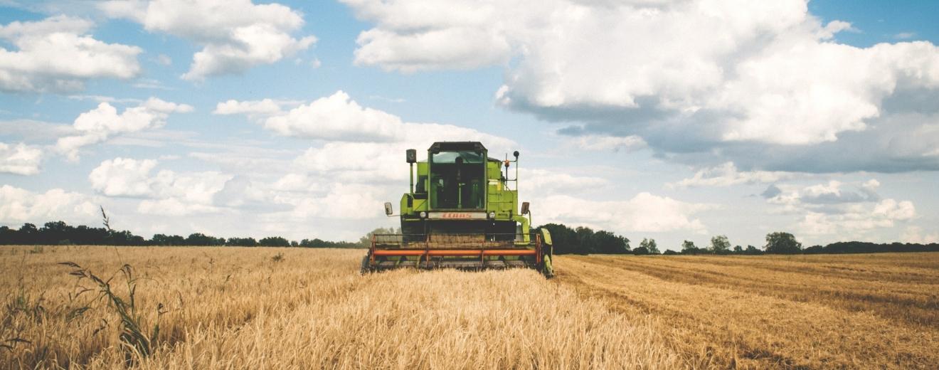 România este a șasea țară din UE cu cea mai mică suprafață cultivată cu producții bio