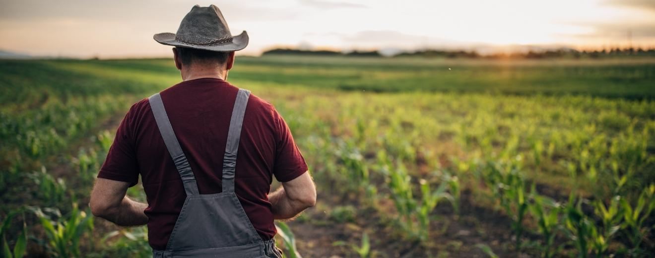 Patronatele din agricultură cred că desele modificările fiscale riscă să afecteze și accesul la hrană al românilor