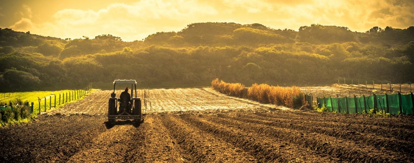 UE pune presiune pe reducerea consumului de fertilizatori chimici în agricultură. România, printre cei mai mari utilizatori