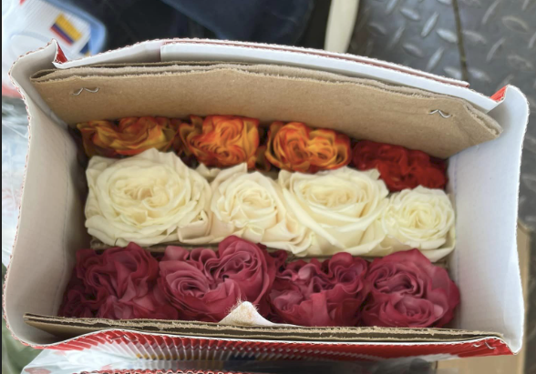 Afacerile cu flori se descurcă bine și în offline. Floria deschide sub franciză a șasea florărie în București