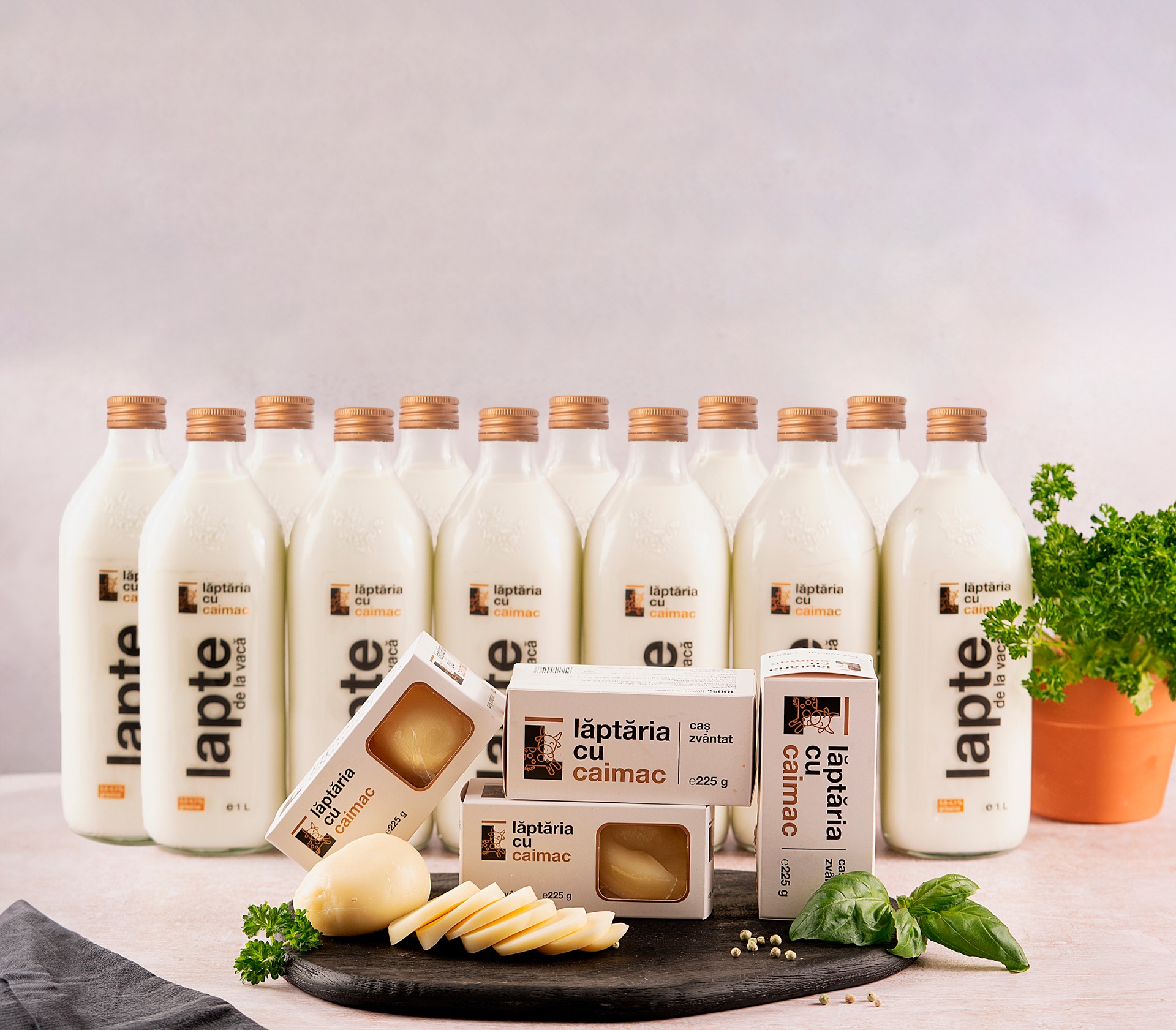 Știri de la companii. Marca „Lăptăria cu caimac” s-a vândut mai bine în 2023, dar ferma Agroserv Măriuța a înregistrat pierderi