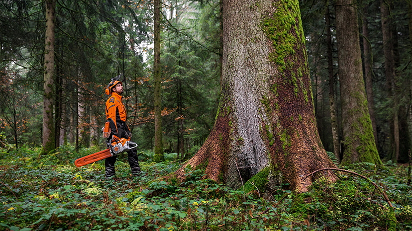 Știri de la companii. Stihl investește 125 de milioane de euro într-o fabrică din Oradea