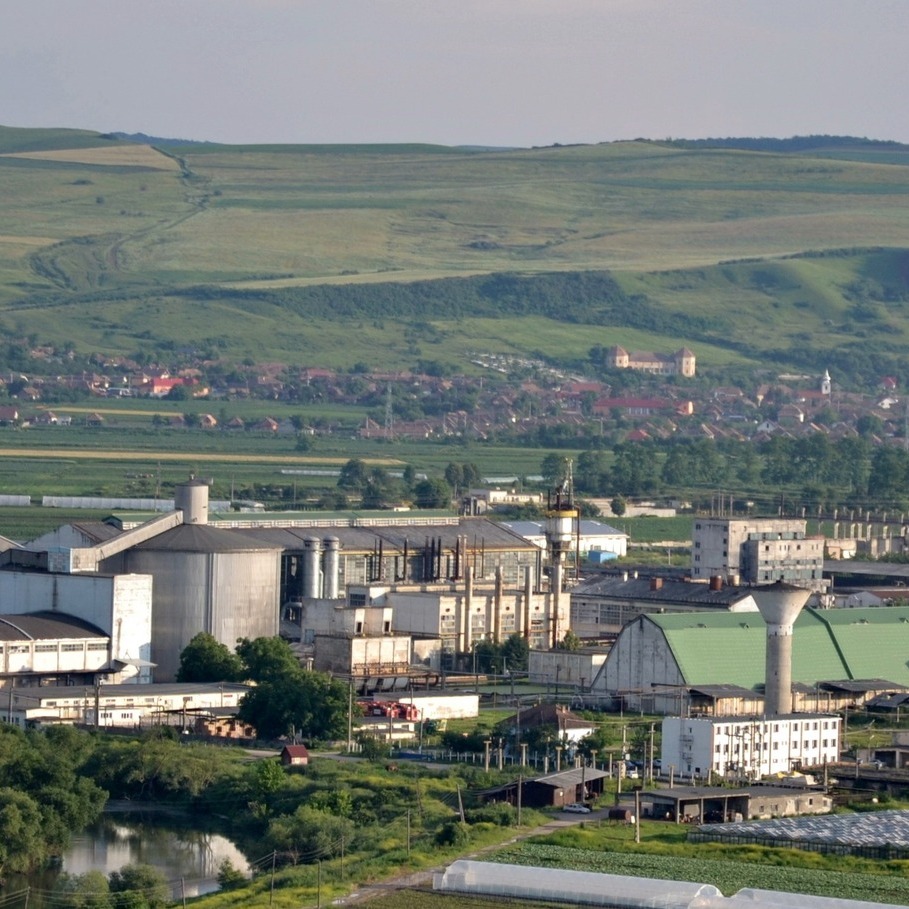 Firma care administrează ultima fabrică de zahăr produs din sfeclă a realizat un profit record în 2023