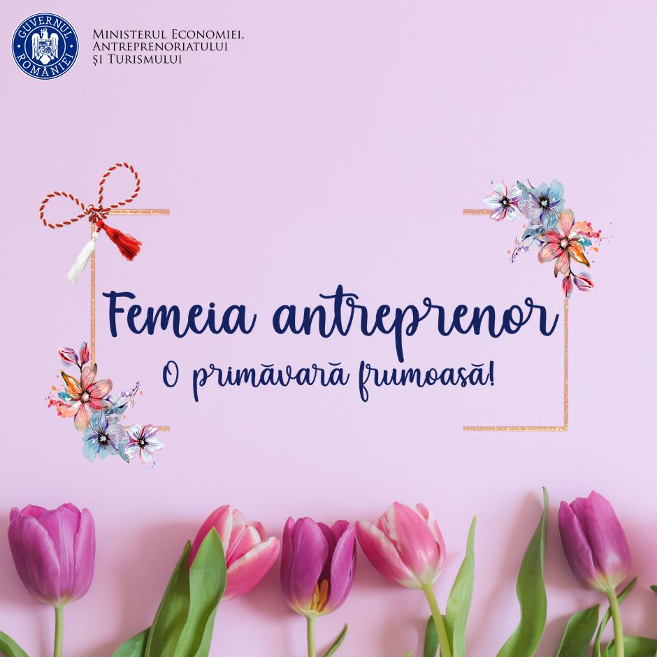 Programul Femeia antreprenor 2024. Patronatul antreprenoarelor consideră prea mic grantul de 200.000 de lei