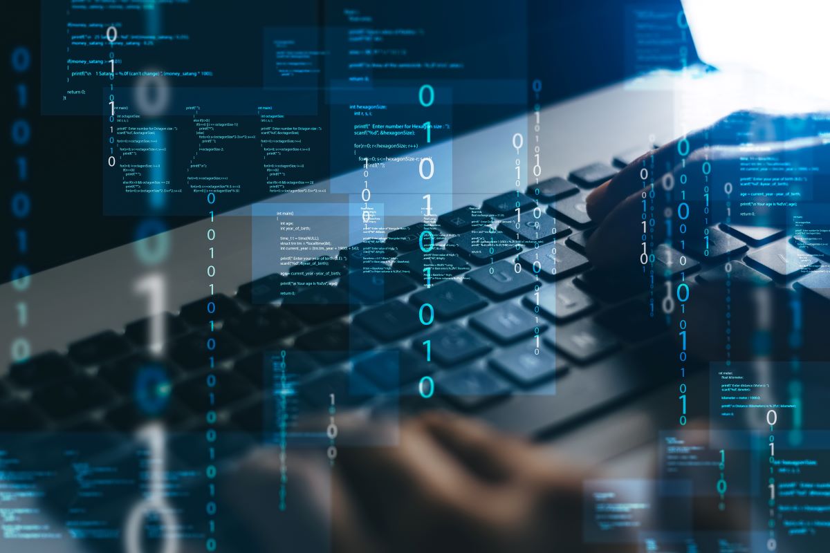 Studiu. Trainingurile contribuie mai mult la dezvoltarea personală decât la avansarea profesională