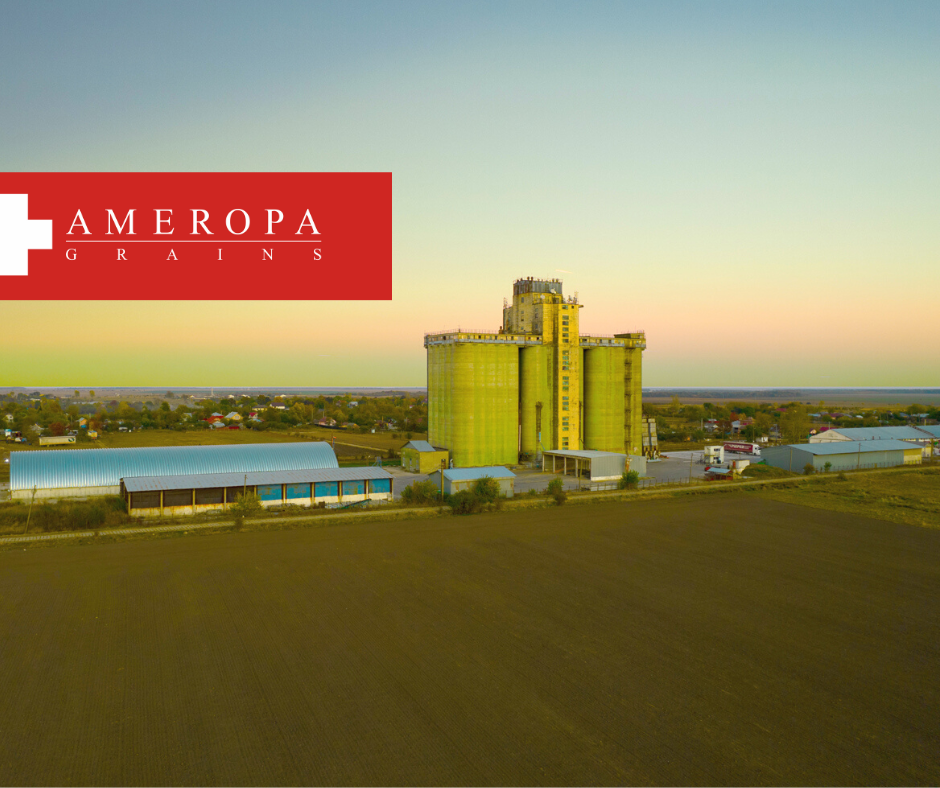 Afacerile Ameropa Grains au scăzut cu 6% în 2023, ajungând la 8,12 miliarde de lei. Piața unde activează compania a scăzut cu 18%