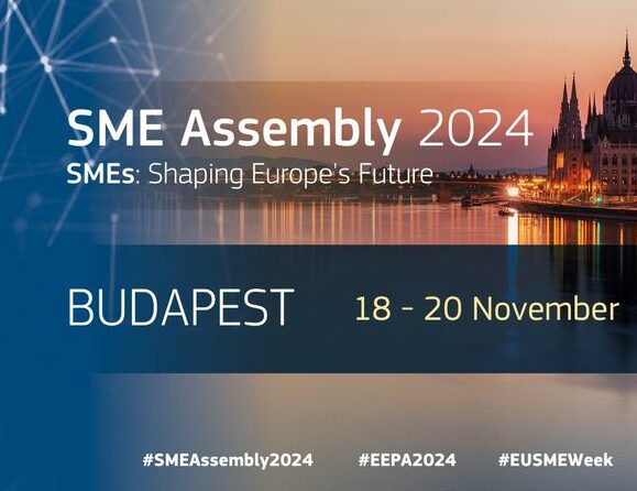 Două proiecte vor reprezenta România la concursul european de promovare a întreprinderilor europene