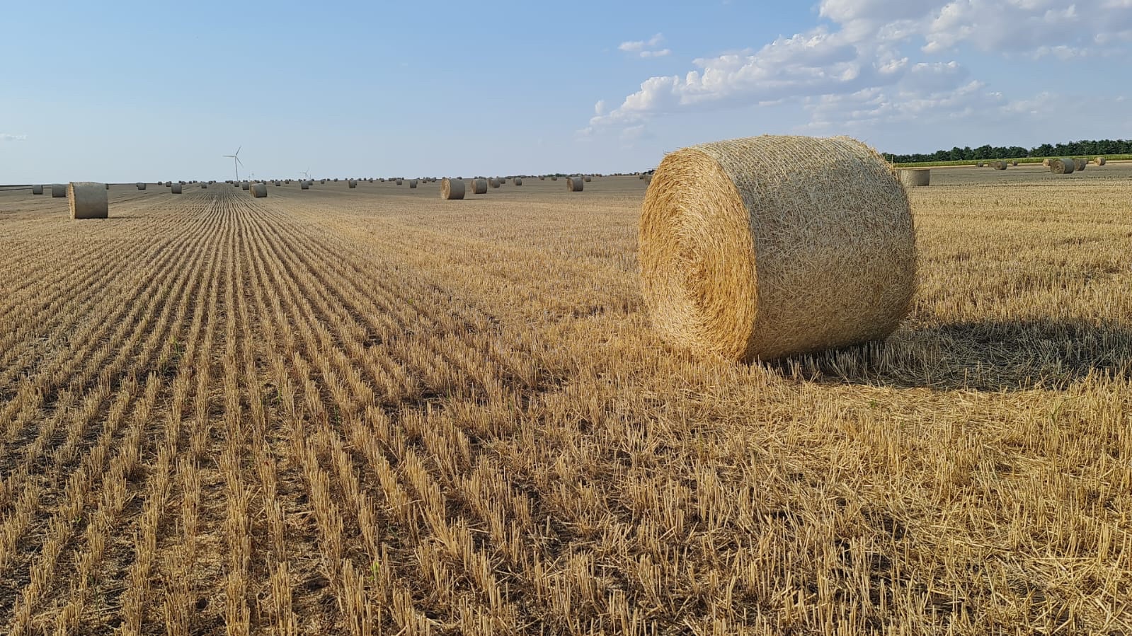 Evoluția companiei românești care a ajuns să se extindă în Brazilia și Statele Unite, după ce în anul 2013 avea o cifră de afaceri sub 50.000 de euro