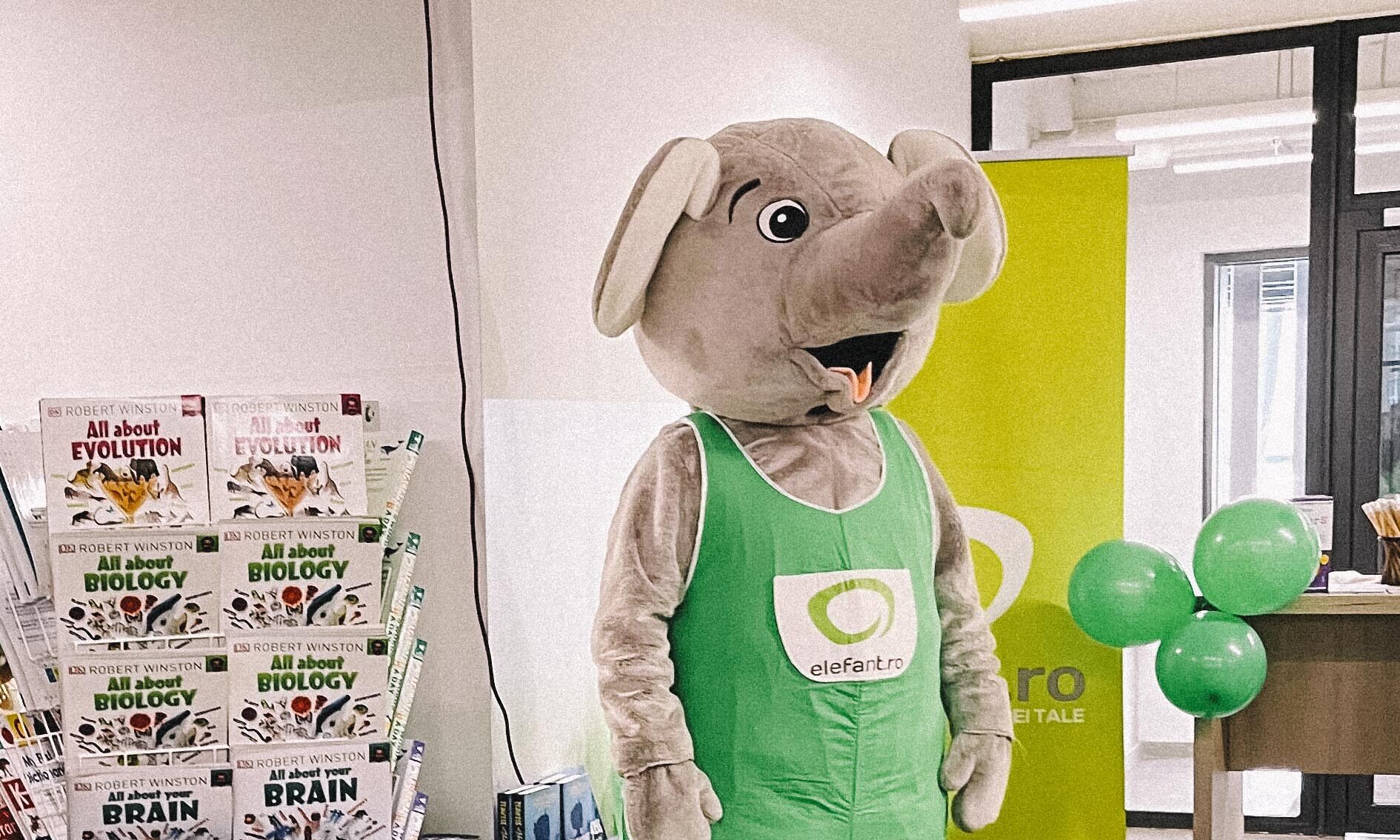 Profit.ro | Planul de reorganizare de șase luni prin care Elefant.ro încearcă să depășească dificultățile financiare