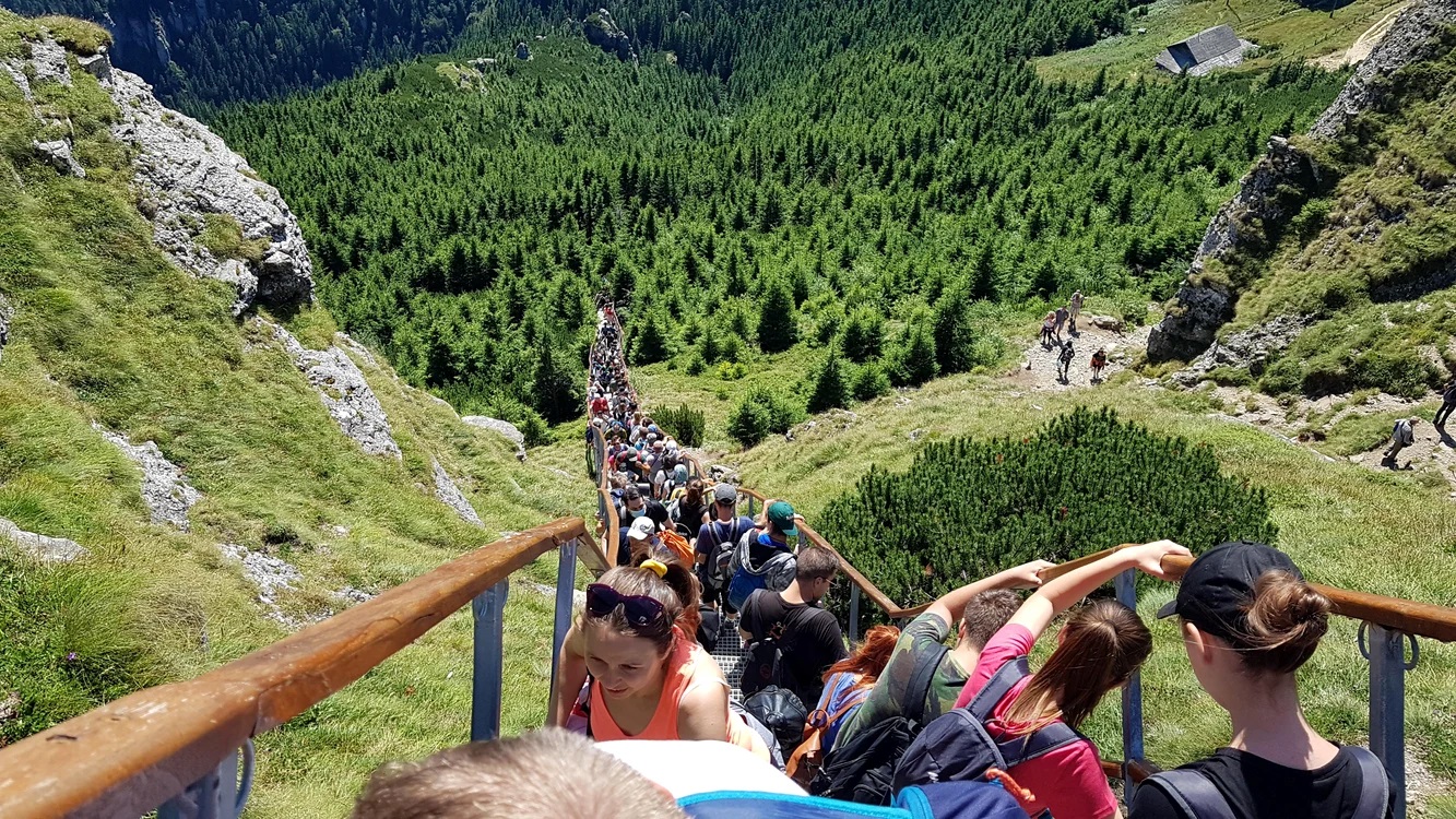 Topul celor mai mari 20 de companii din Neamț. Este unul dintre puținele județe din Moldova în care firmele au înregistrat o creștere a afacerilor