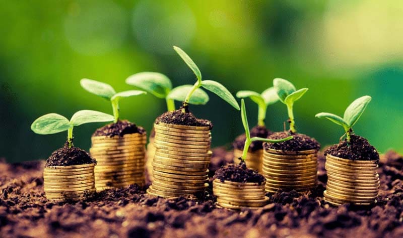 Cine finanțează agricultura românească. Mitul fondurilor europene și avântul IFN-urilor