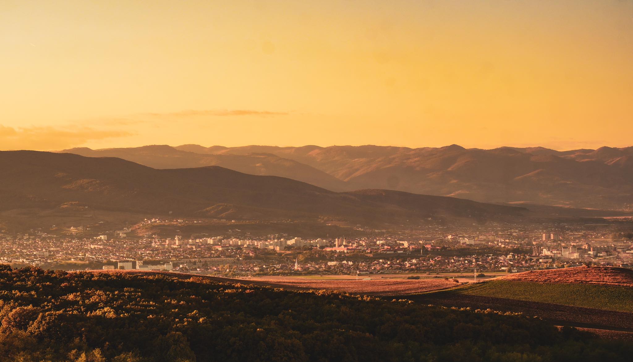 Topul celor mai mari 20 de companii din Alba. Județul este dominat de cinci firme care au venituri de 40% din cifra totală de afaceri