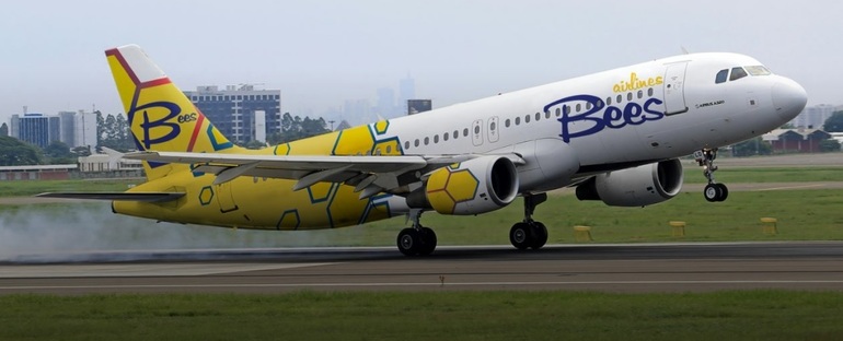 Profit.ro | Compania aeriană Bees Airlines, proaspăt lansată în România, indicată că renunță la toate zborurile comerciale regulate