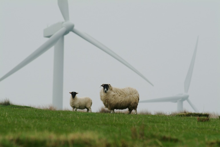 Profit. ro | Danezii de la Eurowind Energy ridică în România cele mai mari turbine eoliene construite până acum