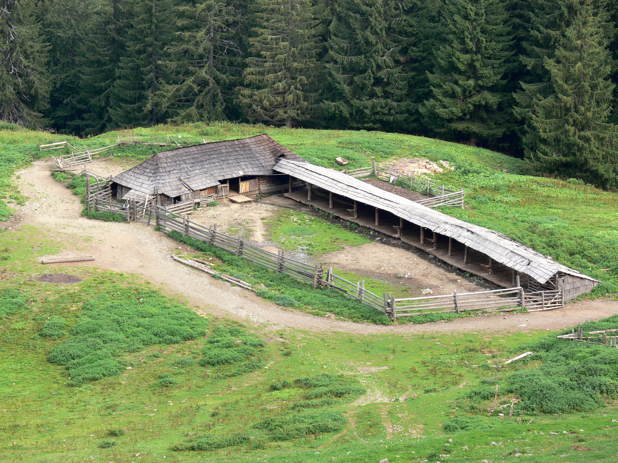 O stână de oi și capre are, în medie, un profit anual de 87.000 de lei. Analiza fermelor de ovine din România