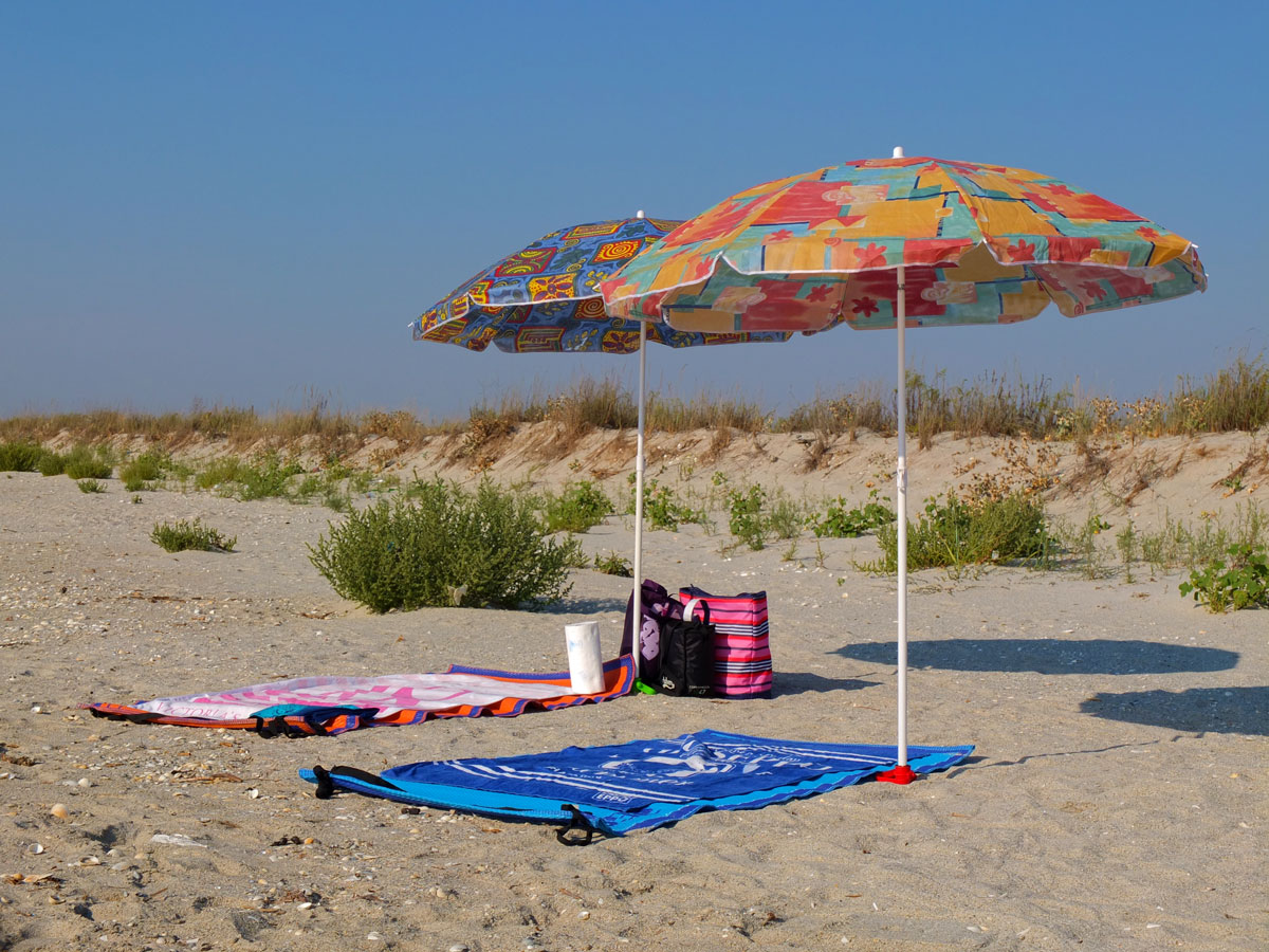 Turismul eco de la Marea Neagră, de lângă plaja din Vadu, a ajuns să genereze venituri de 2 milioane de euro. Afacerile au crescut de 20 de ori într-un deceniu