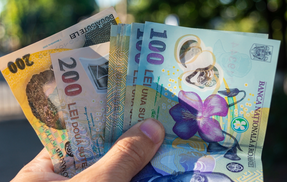 De ce contează | Un român a cheltuit în medie 1.700 de lei pe lună în 2024, cu 57% mai puțin decât ar fi avut nevoie pentru un trai decent