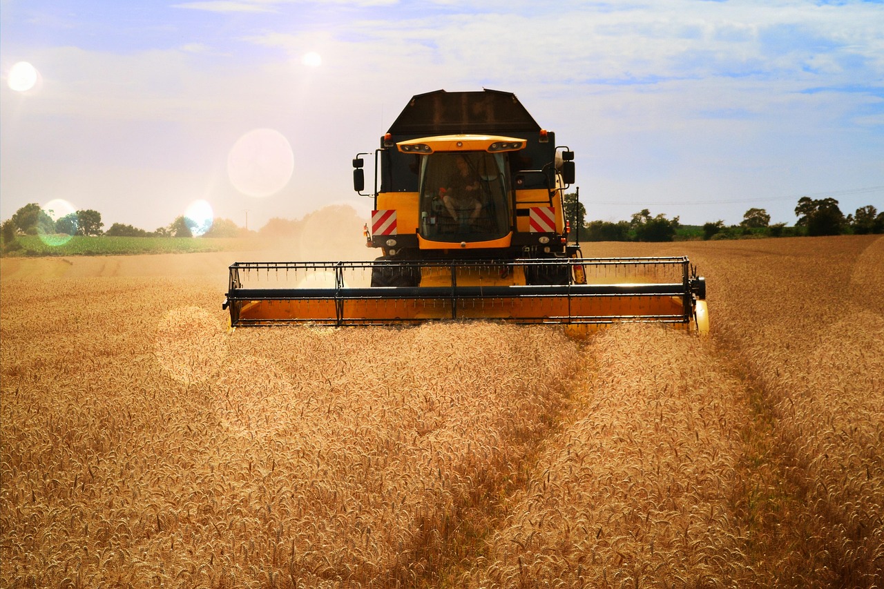 Afacerile din agricultură au fost lăsate fără subvenția la motorină în plină campanie de recoltat