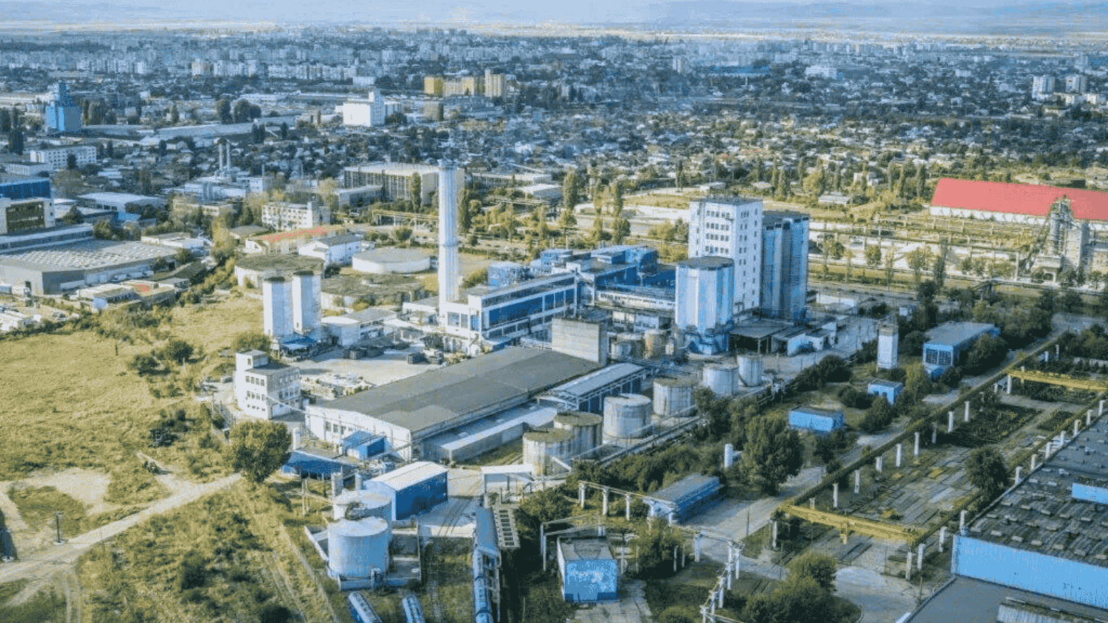 Topul companiilor din Buzău este condus de Bunge, Getica 95 și Aaylex. Retailerul autohton Global Cash & Carry își continuă creșterea