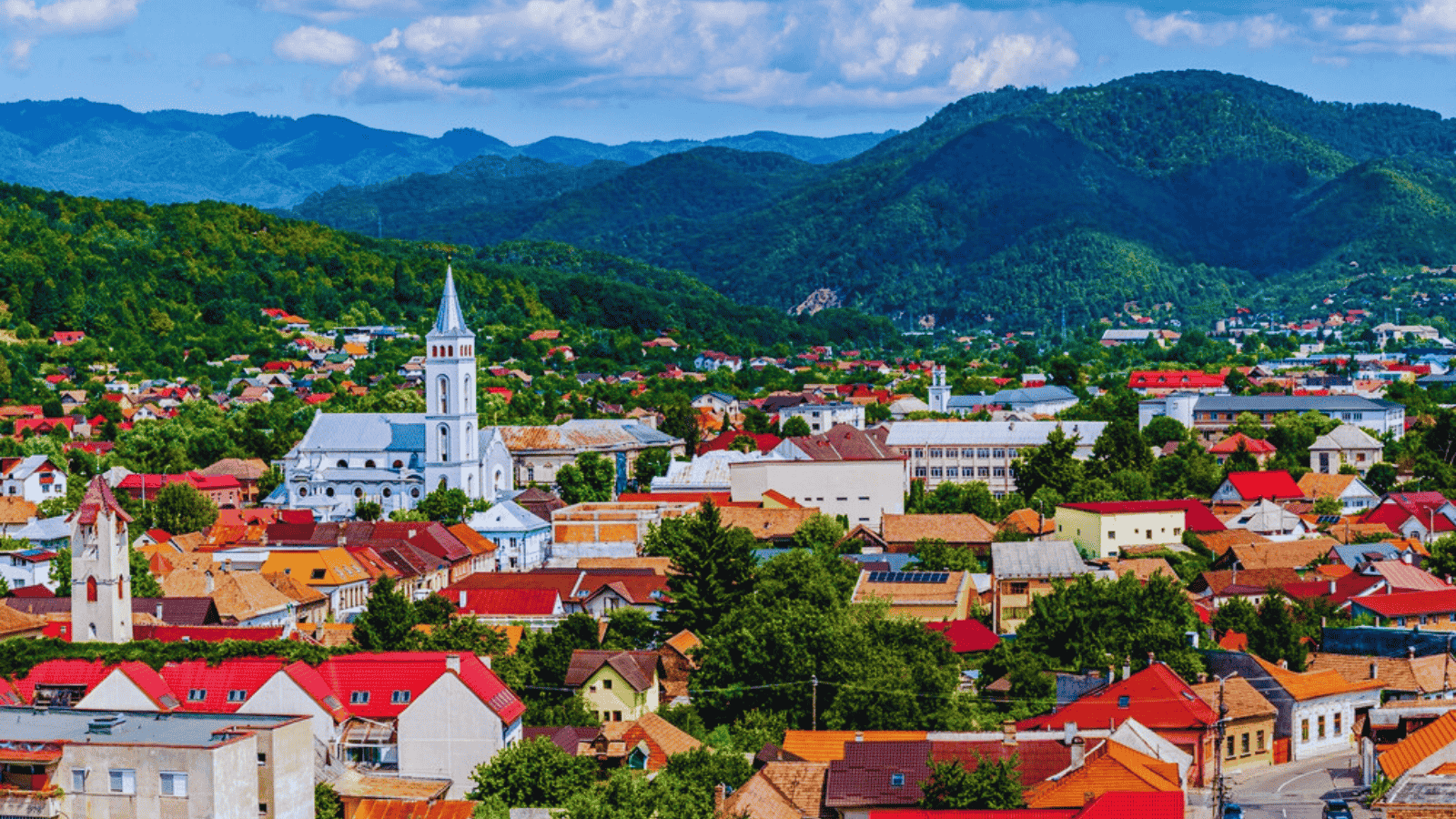 Maramureș în date. Profiturile companiilor din județ au crescut cu peste 460% din 2008 până azi. Topul firmelor din Maramureș este dominat de producători, de la mobilă la componente industriale